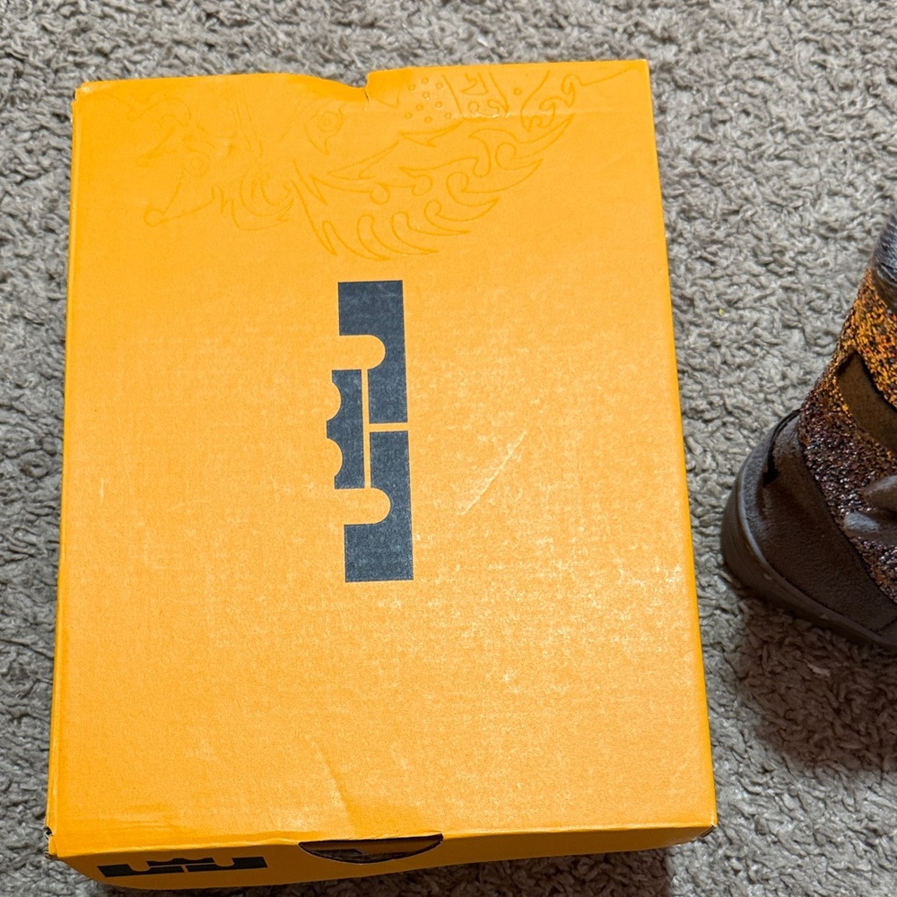 LeBron James girl shoes